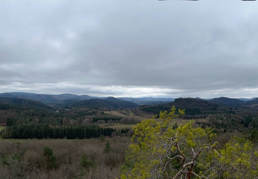 24-03-01 12-14-54 8864